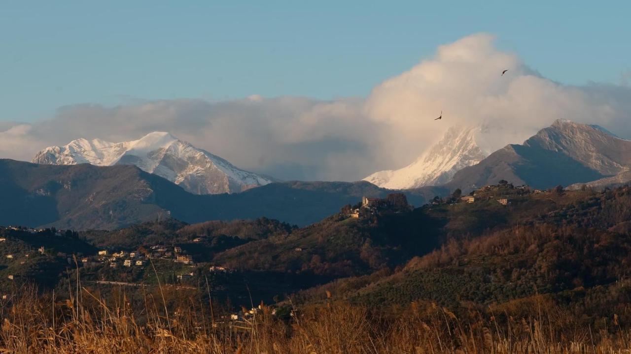 Massaciuccoli Romana Dış mekan fotoğraf