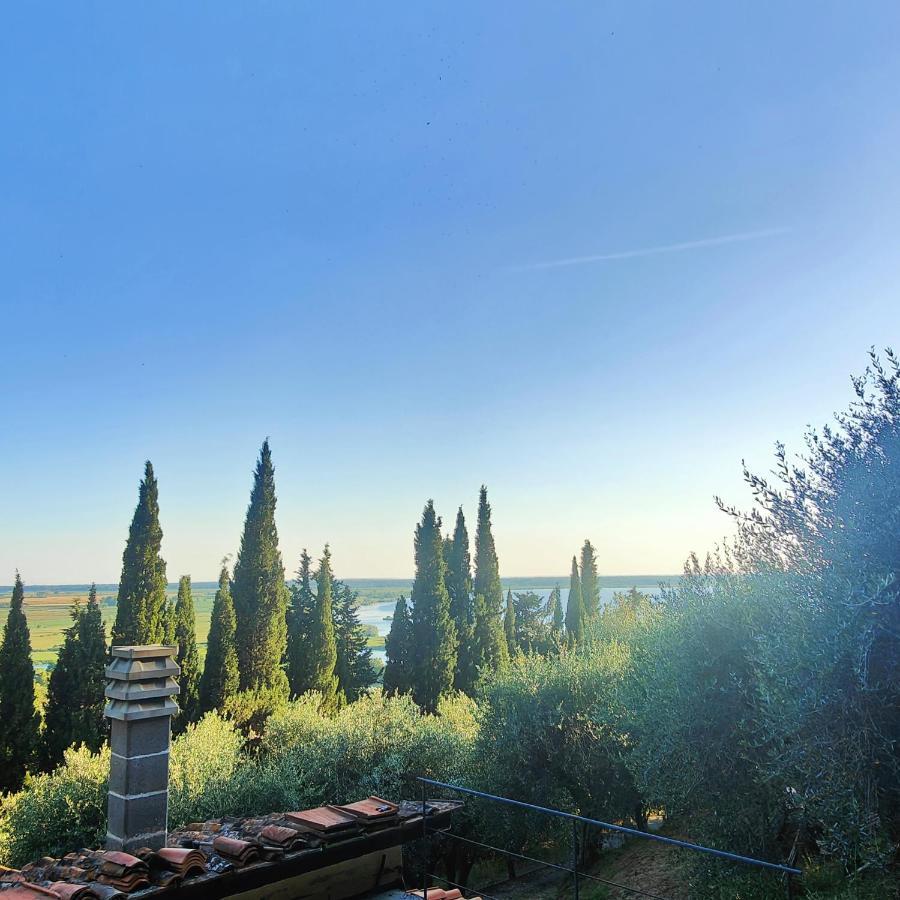 Massaciuccoli Romana Dış mekan fotoğraf