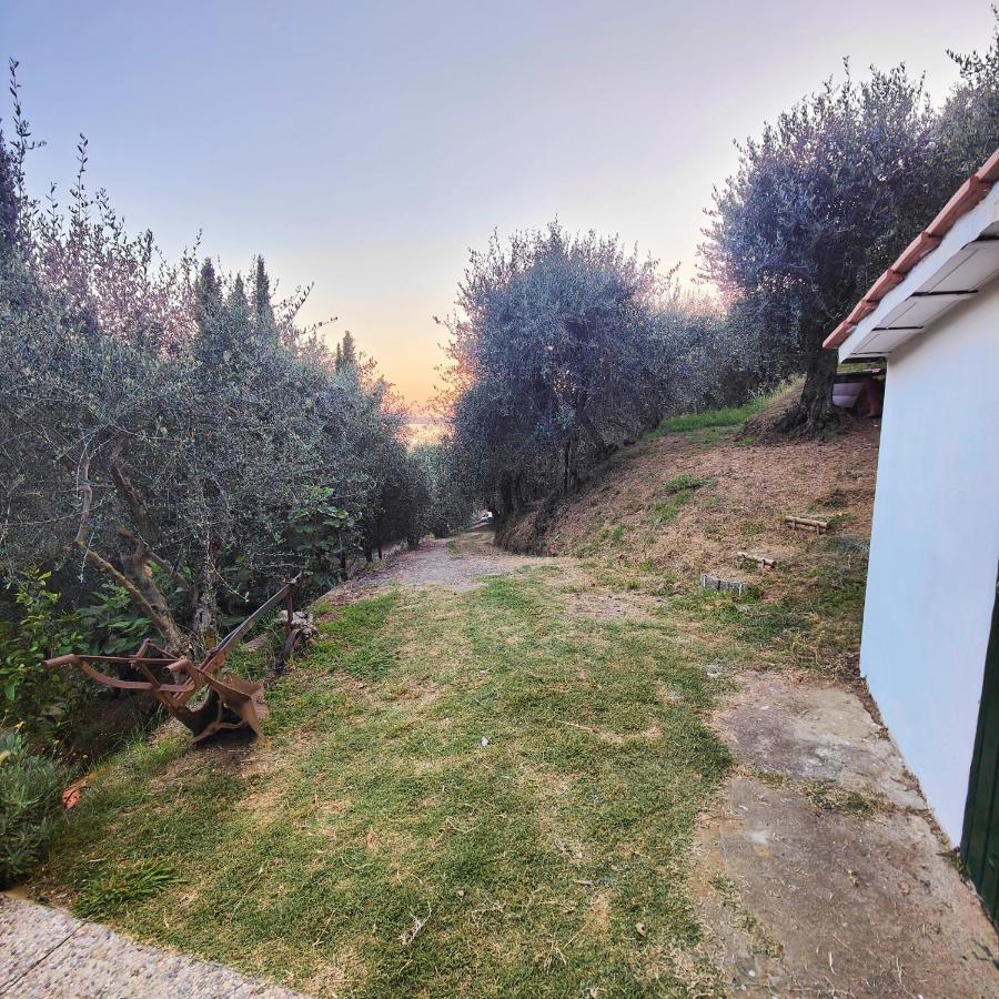 Massaciuccoli Romana Dış mekan fotoğraf