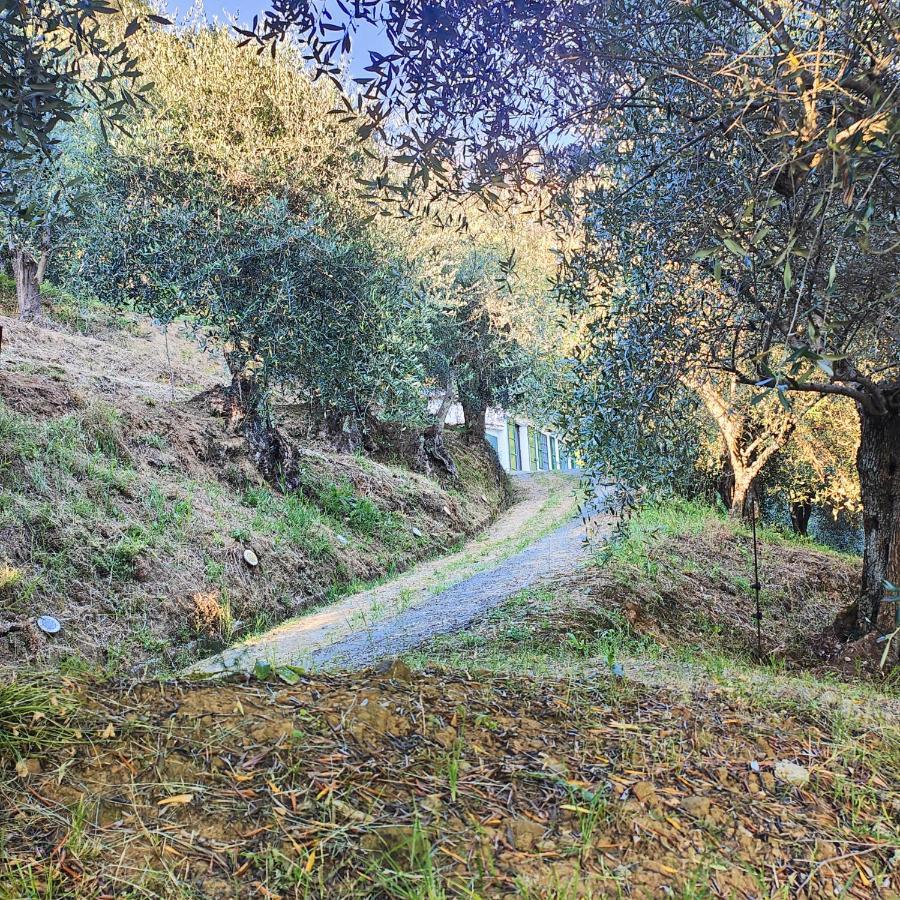 Massaciuccoli Romana Dış mekan fotoğraf