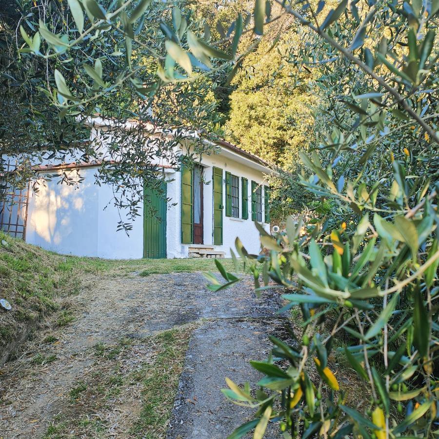 Massaciuccoli Romana Dış mekan fotoğraf