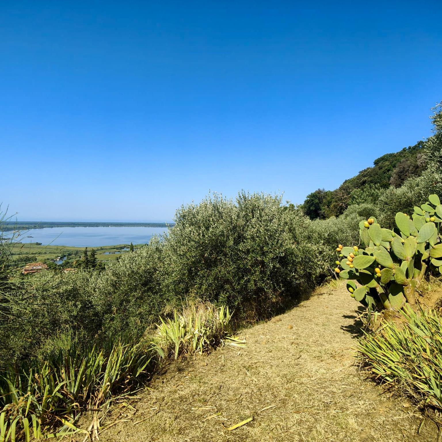 Massaciuccoli Romana Dış mekan fotoğraf