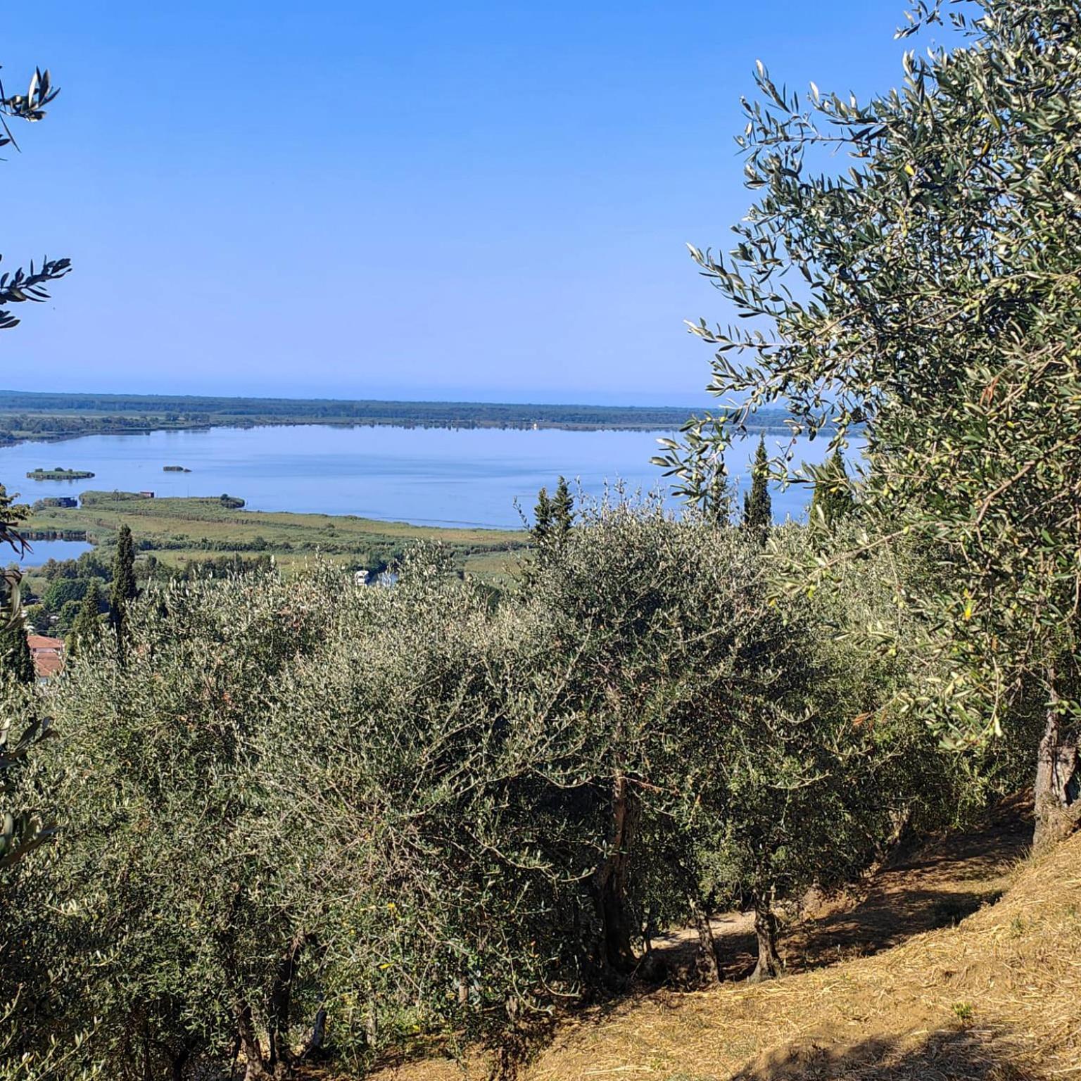 Massaciuccoli Romana Dış mekan fotoğraf